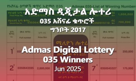 Admas Digital Lottery 035 Ginbot 2017 (Jun 2025) Results & Winning Numbers
