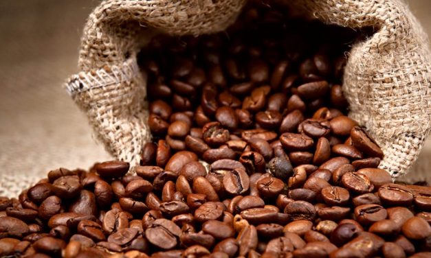 Coffee Export earns 204mln USD in three months