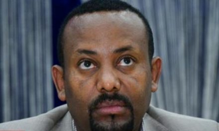 PM calls on leaders of Sidama, Wolayita zones to resign