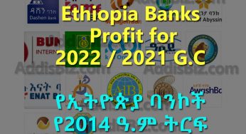 Most Profitable Banks in Ethiopia for 2022/2021 Budget Year