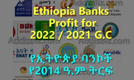Most Profitable Banks in Ethiopia for 2022/2021 Budget Year