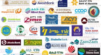 Most Profitable, Best Banks in Ethiopia for 2023/2022 Budget Year, Capital, Assets, Loans, Income and other Financial Indicators