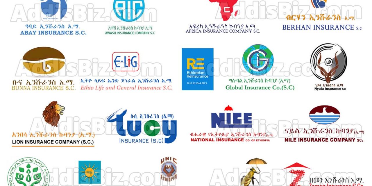 Annual Financial Performance of Ethiopian Insurance Companies for 2021/2020 G.C (2013 E.C) budget year