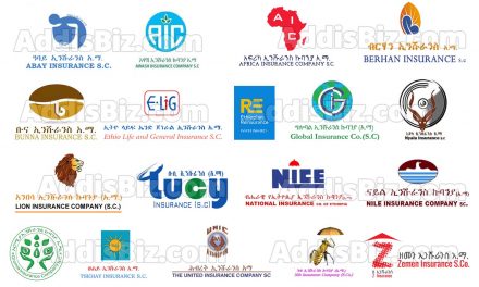 Annual Financial Performance of Ethiopian Insurance Companies for 2021/2020 G.C (2013 E.C) budget year