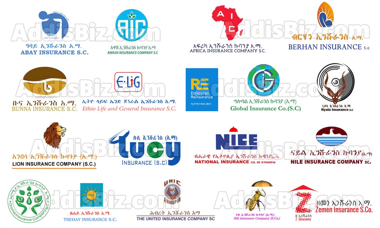 annual-financial-performance-of-ethiopian-insurance-companies-for-2021