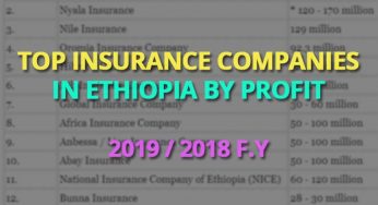 Best Private Insurance Companies in Ethiopia for 2019 / 2018 f.y