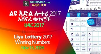 Leyu Lottery-2 (ልዩ-ዕድል ሎተሪ) for Nov 2024 (ህዳር 2017) Winning Numbers