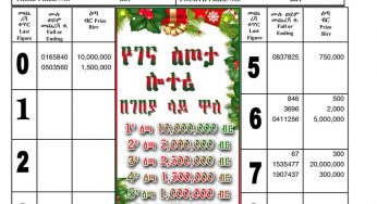 Liyu Edel Lottery for November 17, 2021 (ህዳር 08 ፤ 2014) Winning Numbers