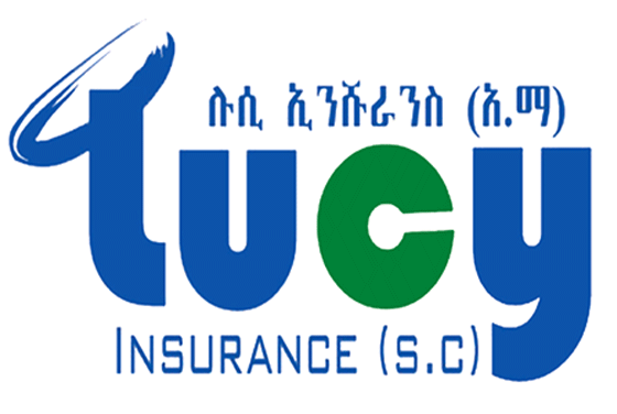 Aug 2021 Ethiopian Insurance Companies Profit Latest Ethiopian News Addisbiz Com