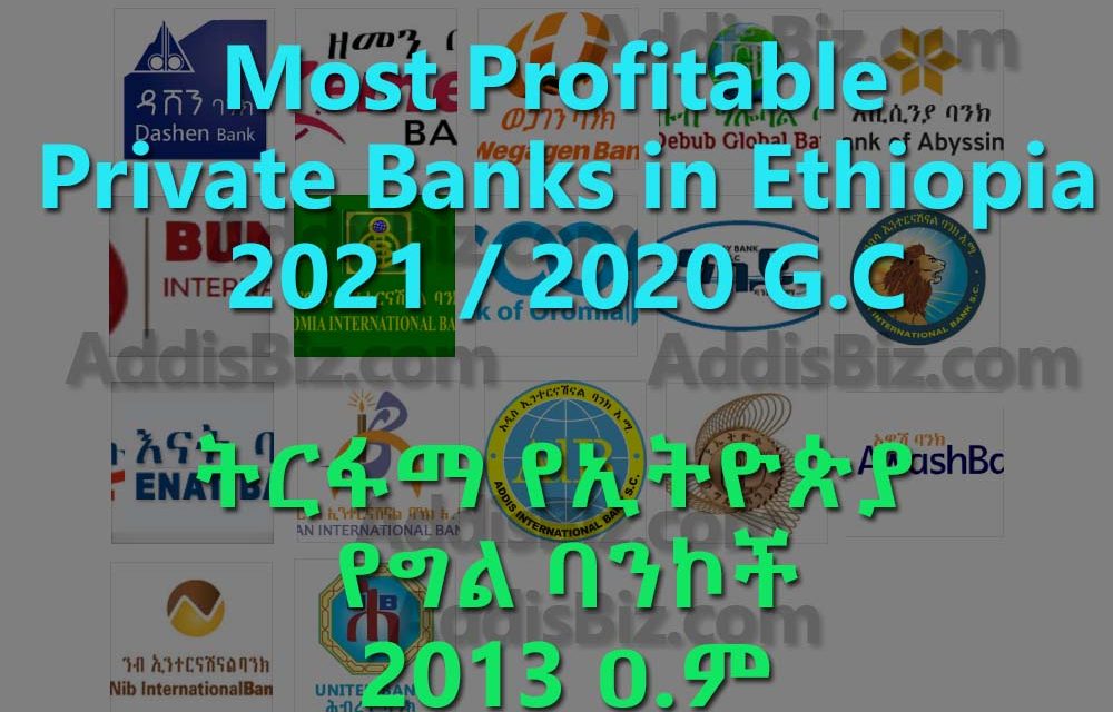 Most profitable Ethiopian Private Banks for 2021 / 2020 fiscal year