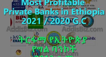 Most profitable Ethiopian Private Banks for 2021 / 2020 fiscal year