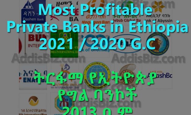 Most profitable Ethiopian Private Banks for 2021 / 2020 fiscal year