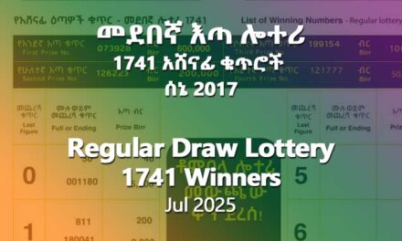 Regular Draw Lottery 1741 for Jul 2024 (Sene 2017) Winning Numbers