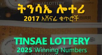 Tinsae Lottery (ትንሣኤ ሎተሪ) Miazia 2017 (Apr 19, 2025) Results & Winning Numbers