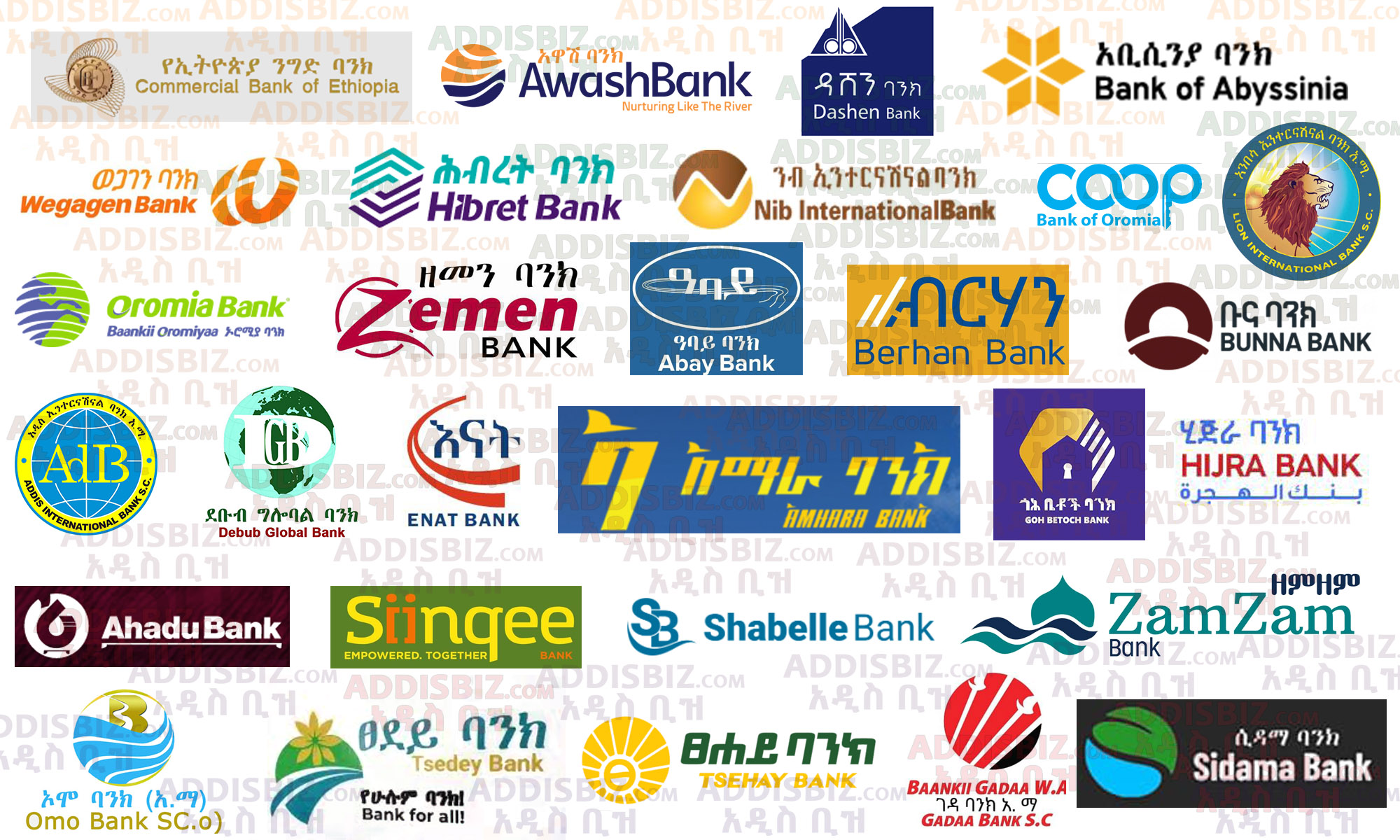 Best Banks in Ethiopia for 2022/2021 Budget Year Compare the Top