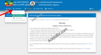 Check NEAEA.gov.et Grade 10 & 12 Matric Exam Results on www.app.neaea.gov.et